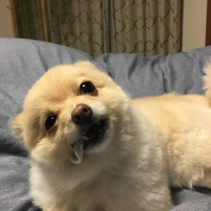 189ebe41 5925 4663 b1ab c1fc300ee6cd