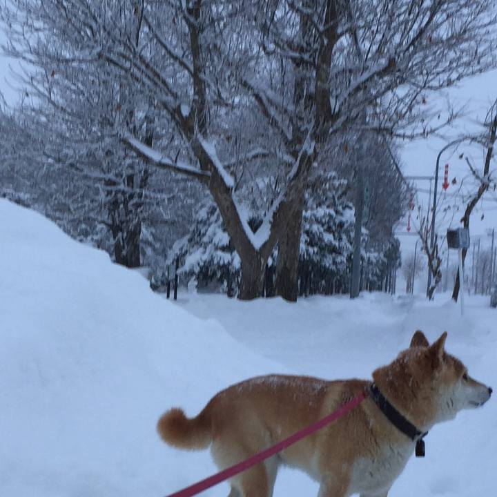 189f0466 dfe9 496b b99c 6276b4ab1990