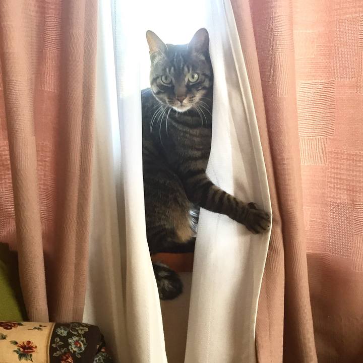 189f0ad5 f190 48d0 8376 9e7def86a1d7