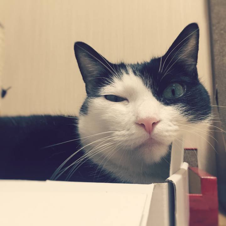 189f8075 6d44 46f0 9966 c80a0be47724