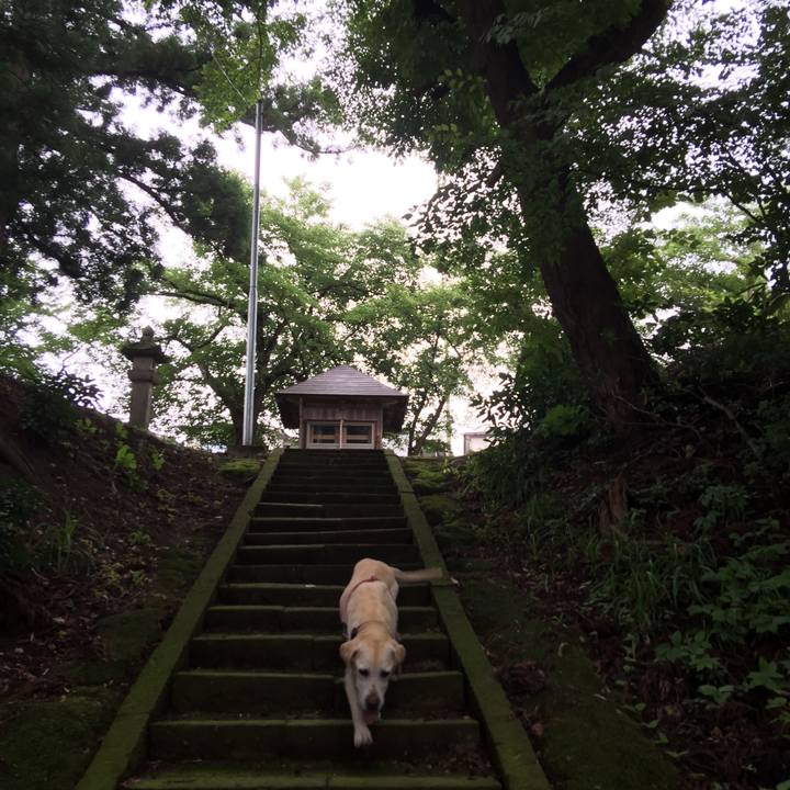 189fa997 1ea1 4b09 a76f e7c5758e44fd