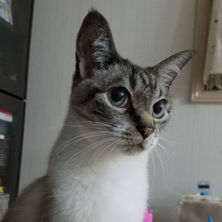 18a05078 f9cf 4ddc 966e bfa5ccaf35fc