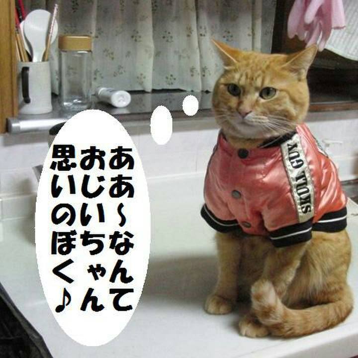 18a05085 b442 4824 9595 8161335a16b8