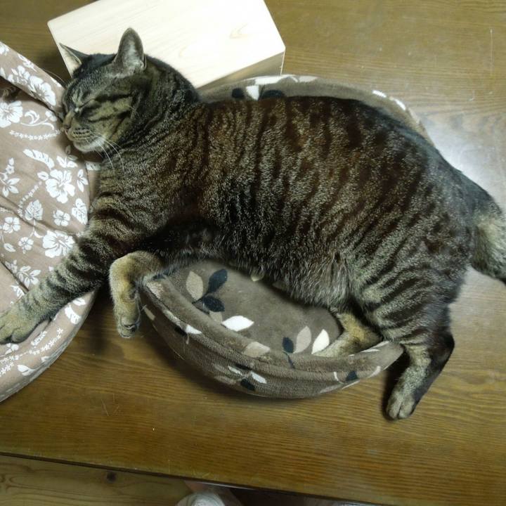 18a11ec8 63d9 4827 83d2 3d3d171de7b7