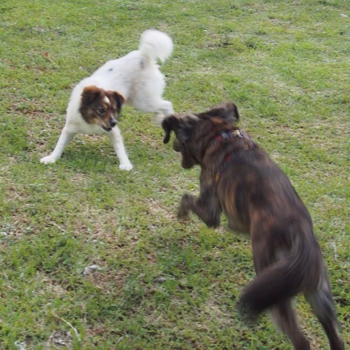 18a2024a cae0 42d6 8a33 60975fcd8a0e