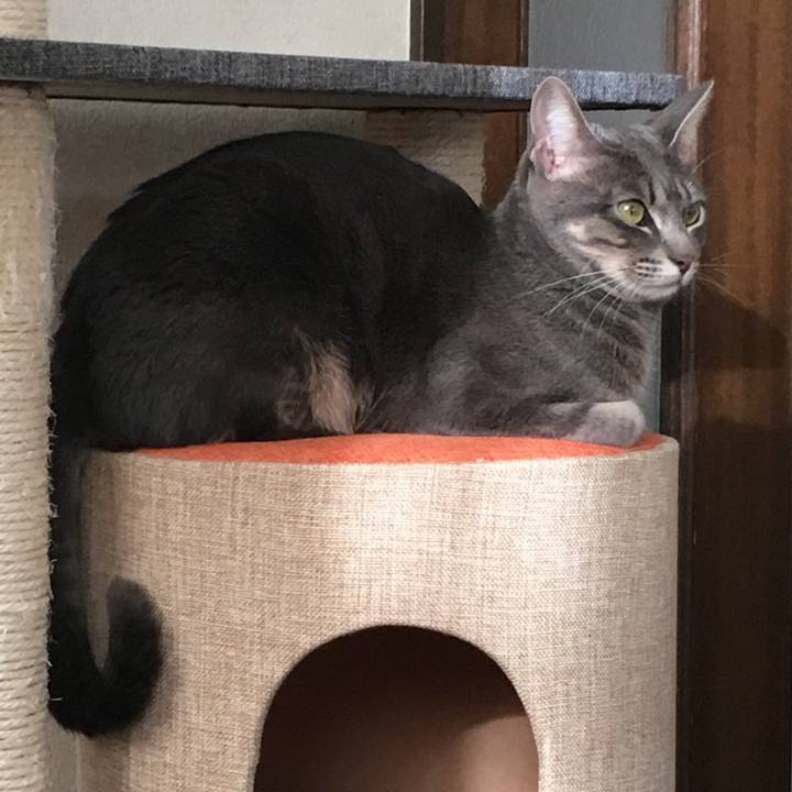 18a2462b a1e8 49c3 827c ecca6c632713