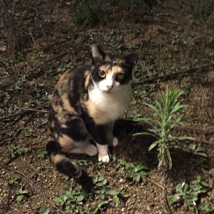 18a25fc4 9e53 478d 9a1e 5d6787f2a19a