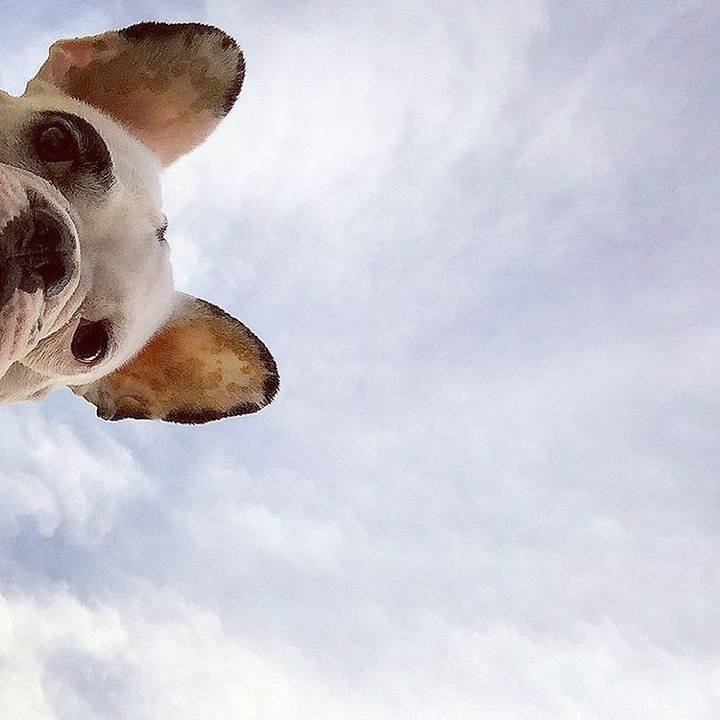 18a37fbb a3fb 4959 917b 933484e26782