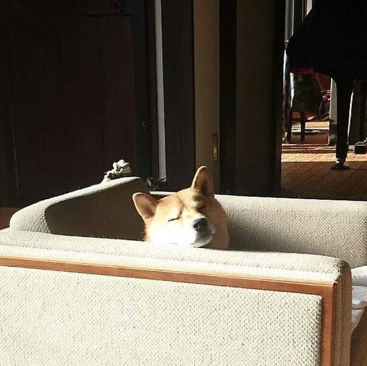 18a404bf 51d8 4a43 b299 c62e981c6987