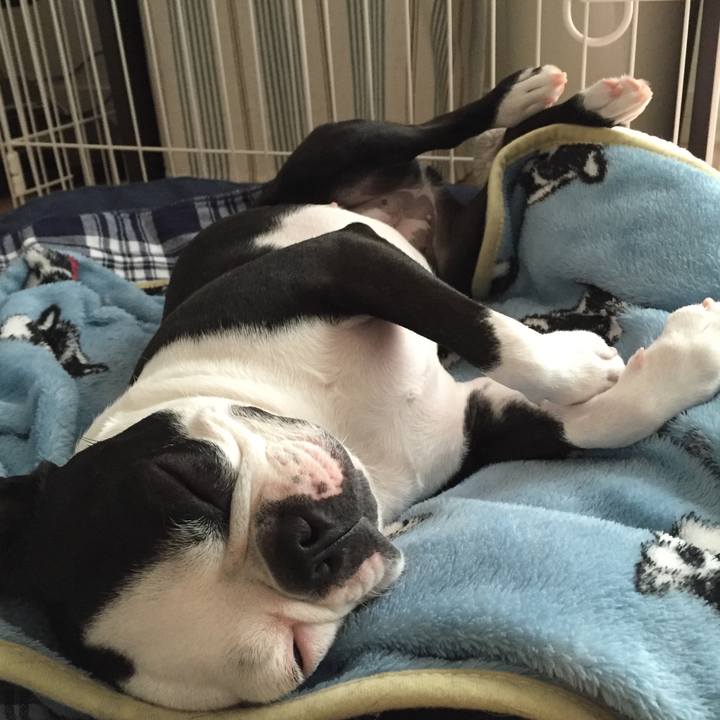 18a436b2 82e7 48bd a199 eabc9578b233