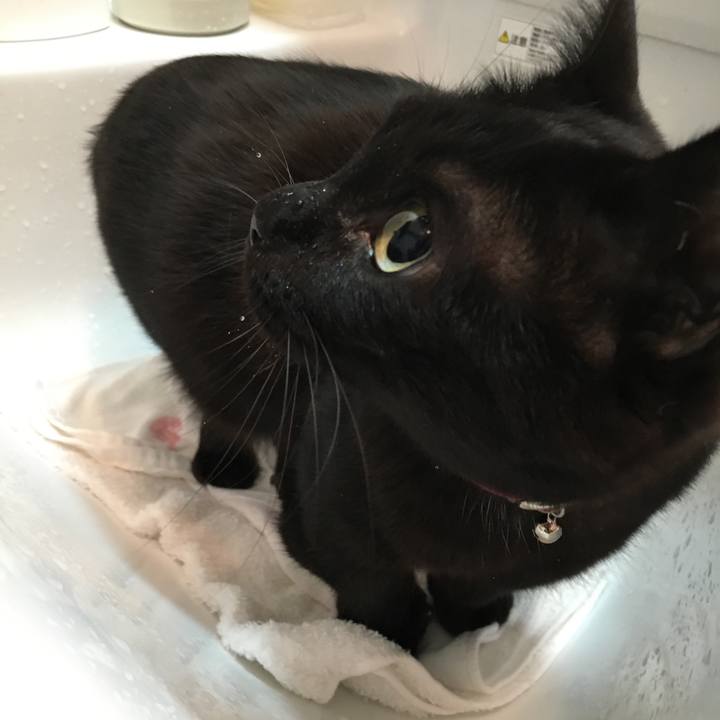 18a52a5a 55a9 4e99 8eb6 b7f561bb2362