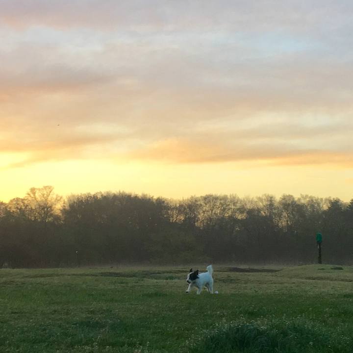 18a53242 6f90 4b95 b168 f98275148306