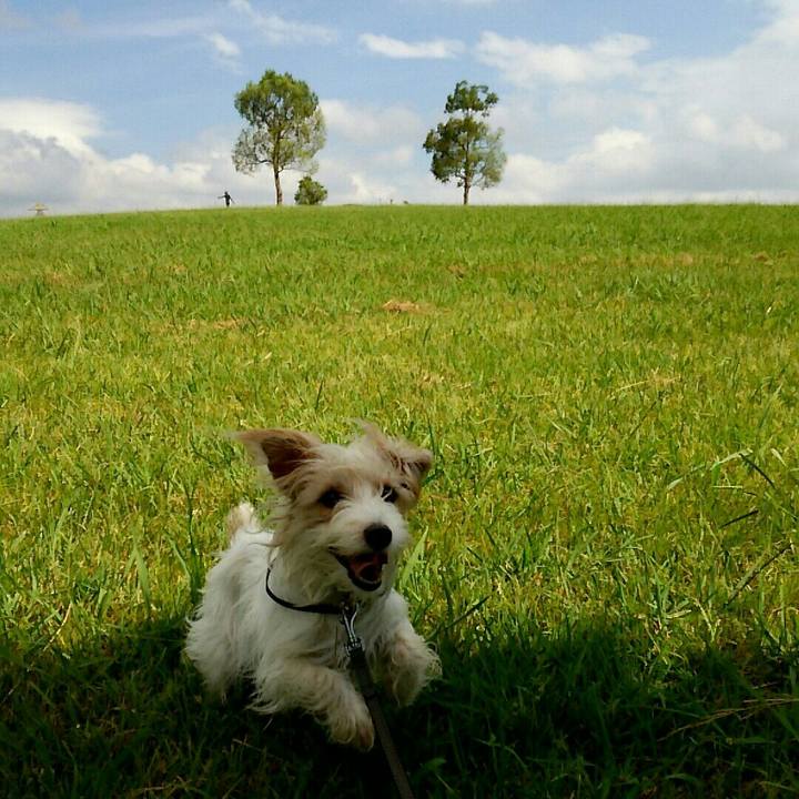 18a59b91 c597 46a6 a424 423fc0a5df75