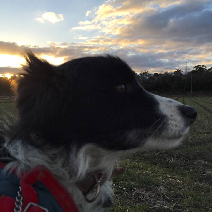 18a5bd26 4046 4385 8332 dc78798fd1e9