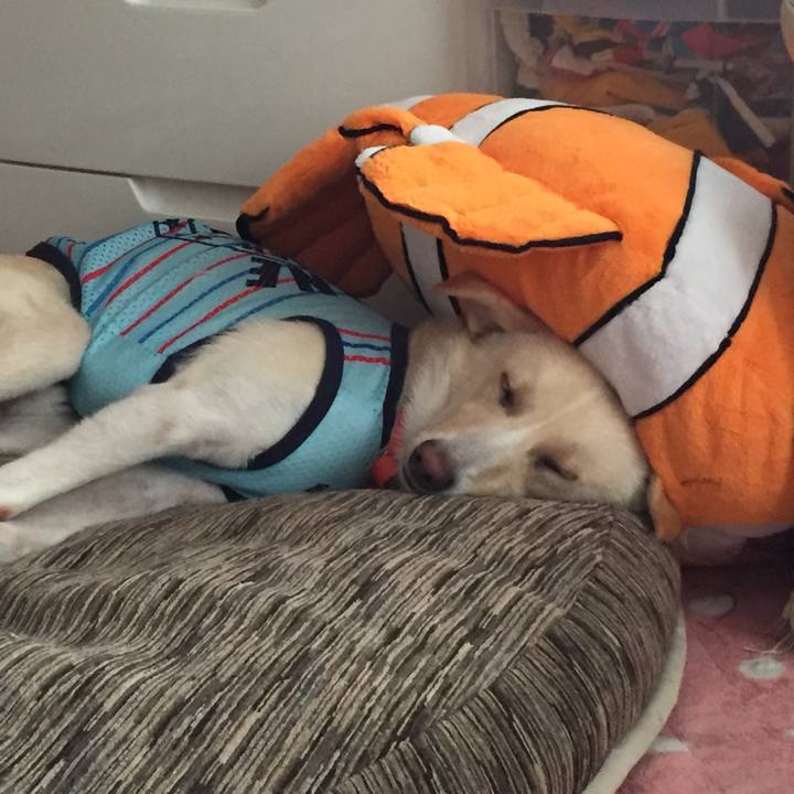 18a61d20 0b26 4780 a493 57344c120f25