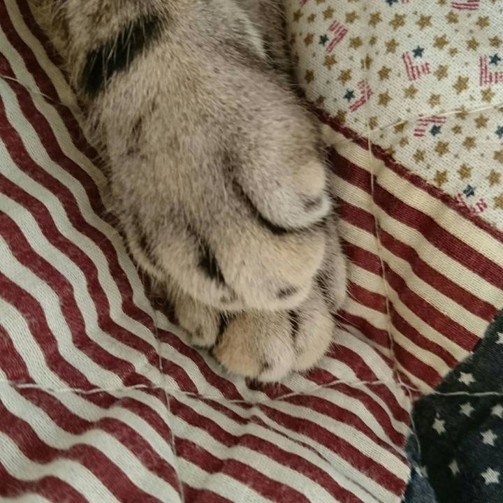 18a66b76 5a9d 4851 acbd c93ee5c6c379