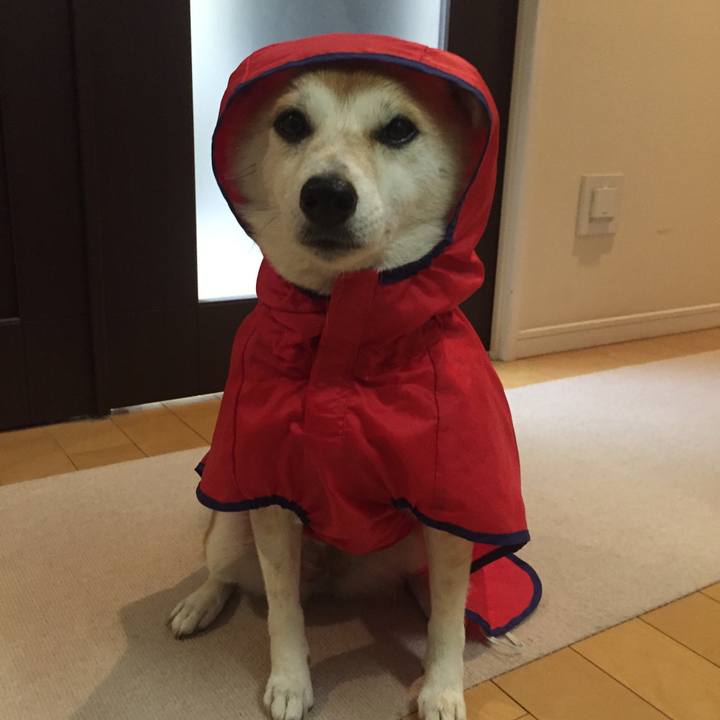 18a6bdc7 fa30 4fd0 a757 1a22a7794248