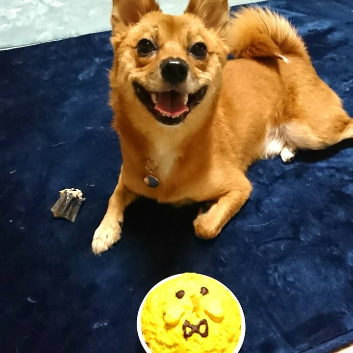 18a71517 498e 4b64 99cc b020156b0147