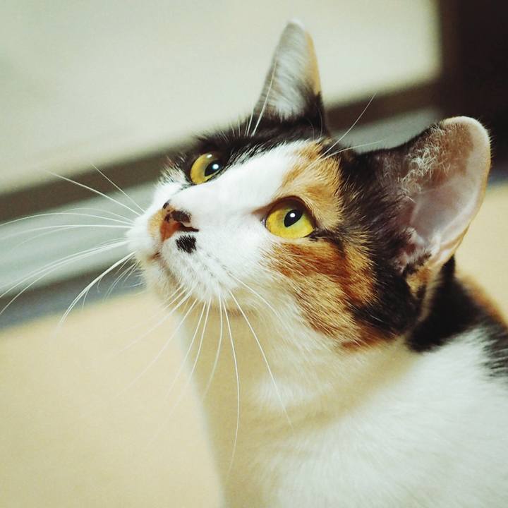 18a72674 bb61 45ca 89b1 0b24f5f08946