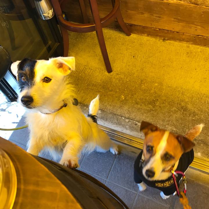 18a91a29 cdd4 4911 850c 7106f2693ea5