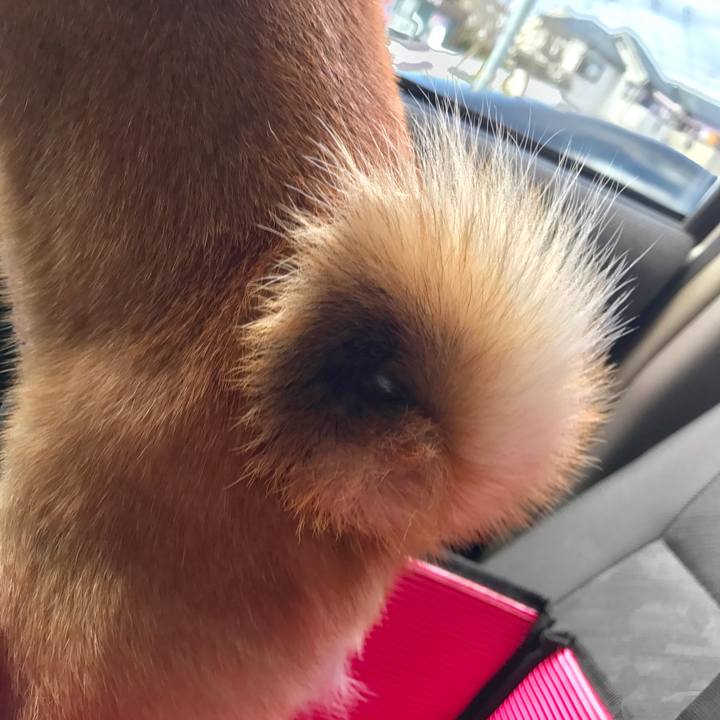 18a95387 81ad 4c7f 84ed 3e1df3f6d122