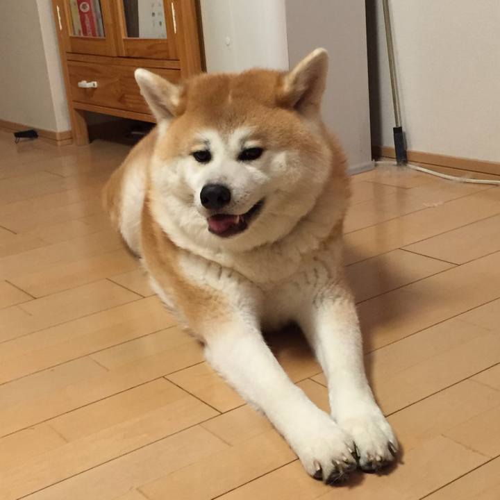 18a967de 717c 4382 841f 493200bc7ad2