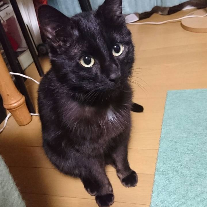 18ab620c 71a5 42fb bd12 4b6dfdc84879