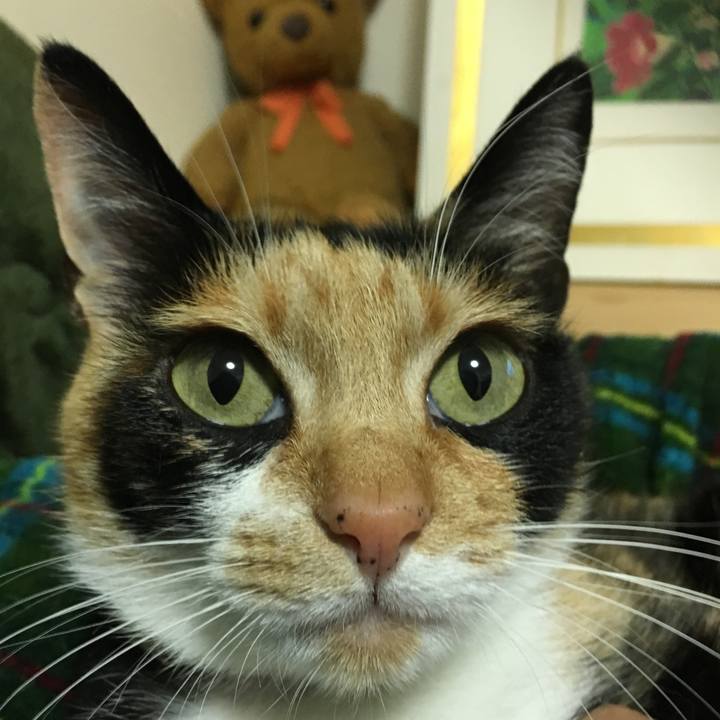 18abb446 feef 47e8 92f5 6ef1519031f9