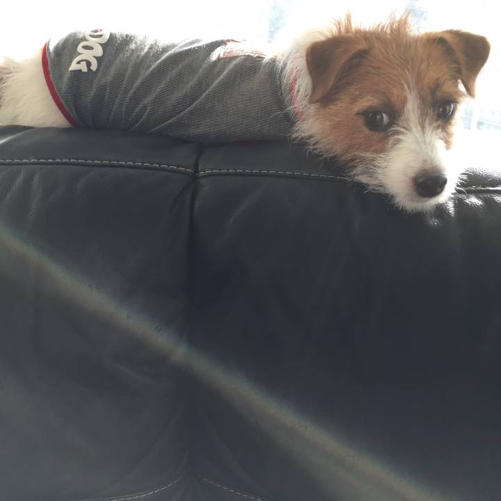 18abd5cf 5459 44cb 97d4 ed11b47d1725