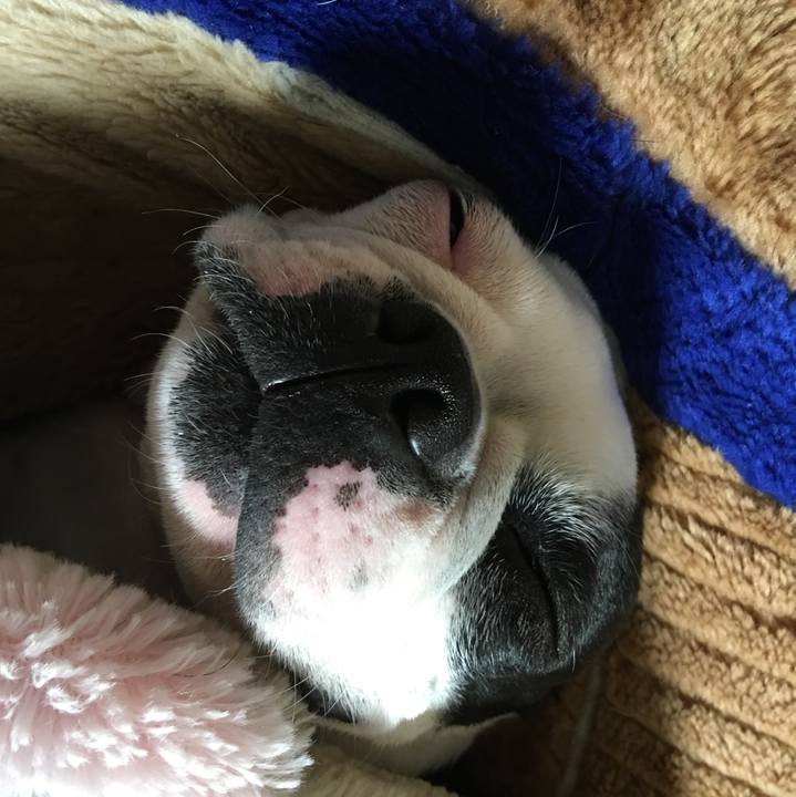 18ac46a9 d5ab 4e45 aff2 13c2d0e5951e