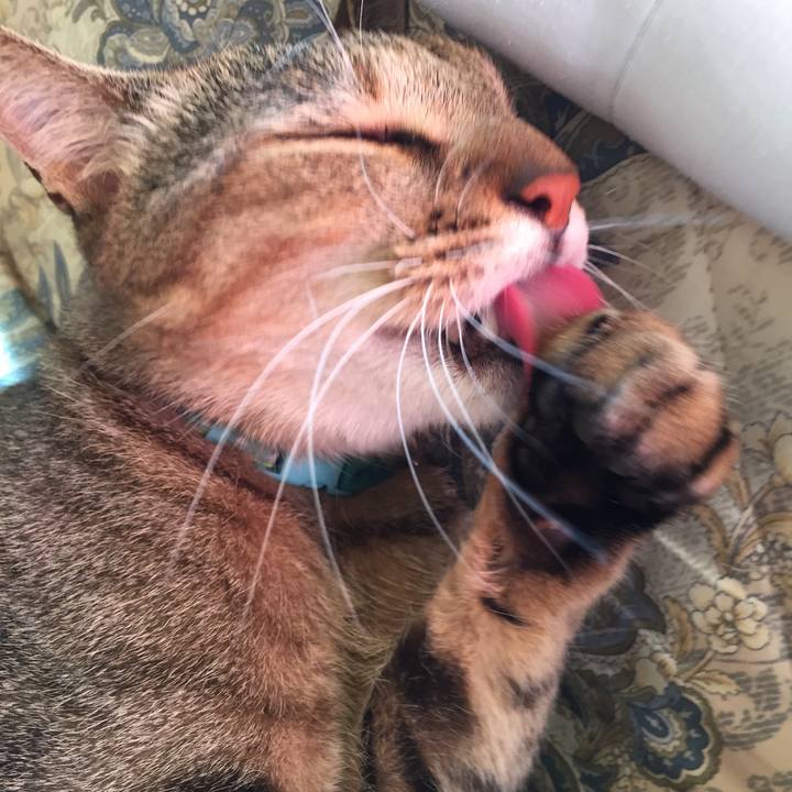 18ad1a0d 4f65 45dd 870c c6bb969df824