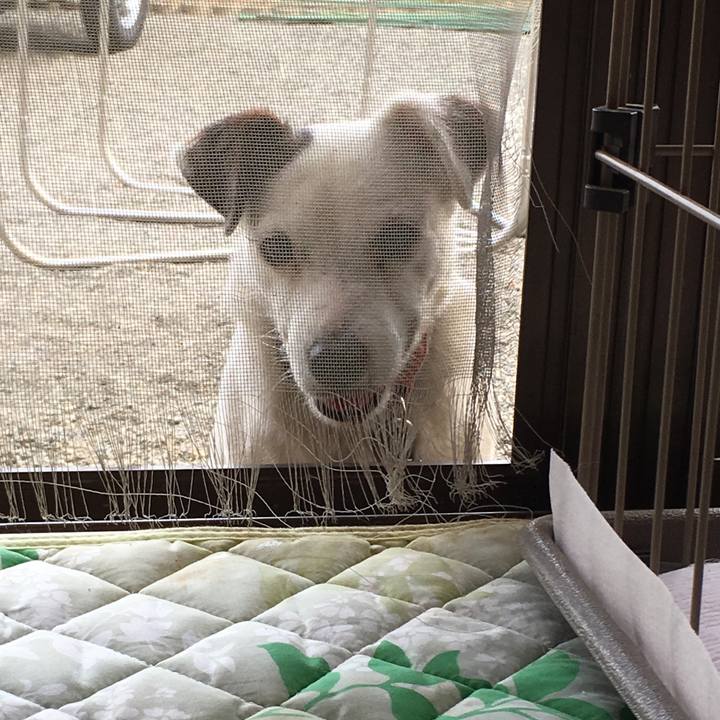 18ad5260 d202 483c 88e9 147e6ed9d201