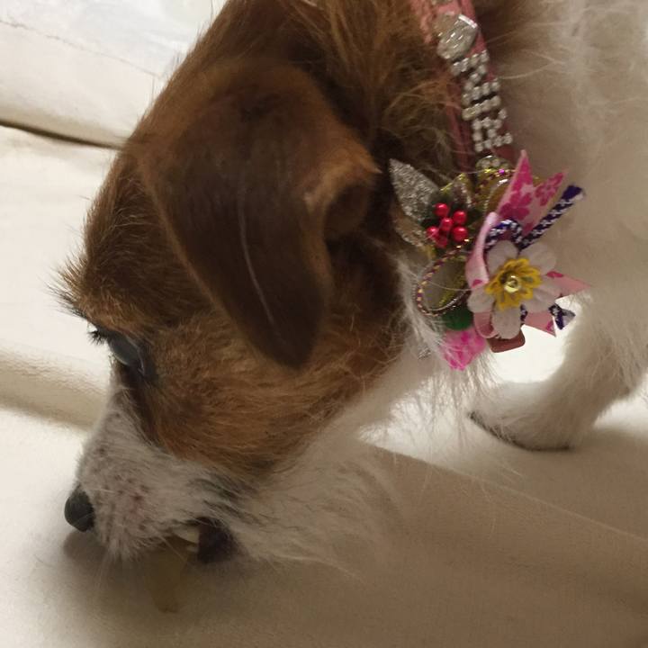 18ad5f6e 02b2 49f1 812d 5146831b765f