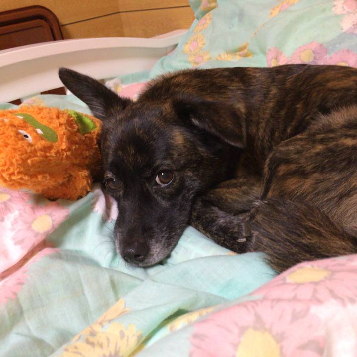 18ad6a64 5637 486c bbff 87c0995c6142