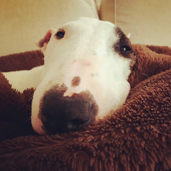 18adc89f 6d9e 4837 95c0 d0240a03e48c