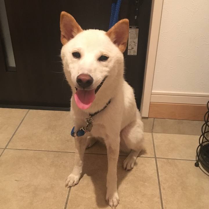 18ae66c1 56e2 45c5 a999 9babea83418c