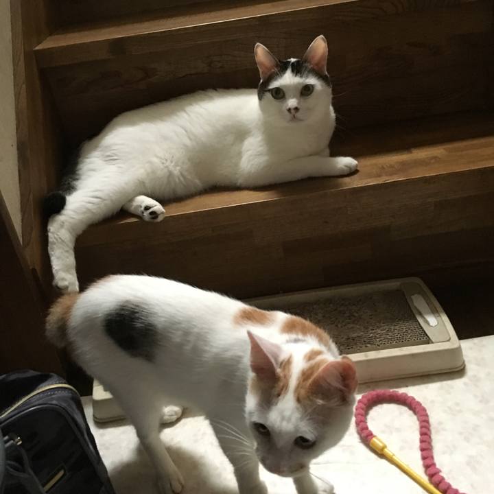 18aea0f7 9cee 4888 90ae 91ed11b96174