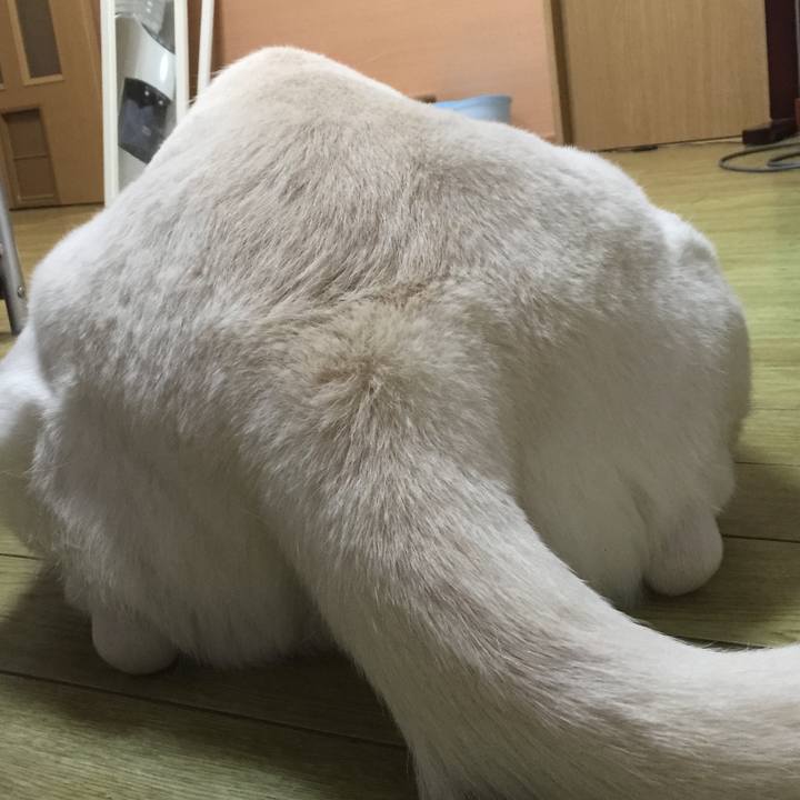 18aeb457 243f 487f 9745 3bf8e8b9593d