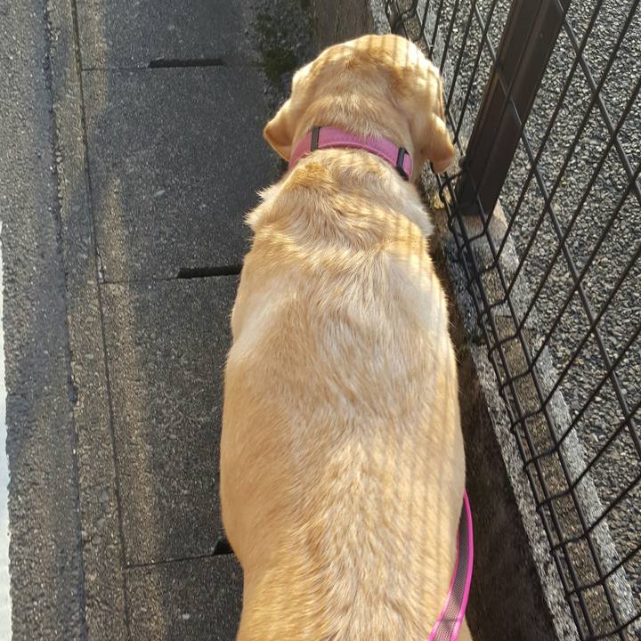 18af32e3 5bf0 4170 864f 826cd74781fd