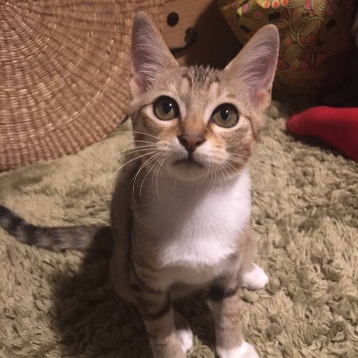 18af9753 8039 44b2 a81f 1ef10ec12575