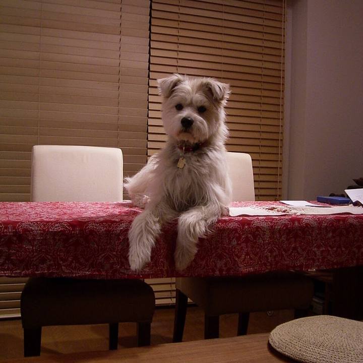 18af9f75 75f4 4c0b b2ea 9a27a6627d72