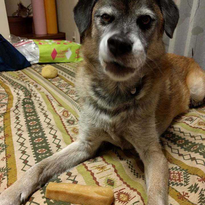 18afb757 3686 40f8 9cdd d5561b28f602