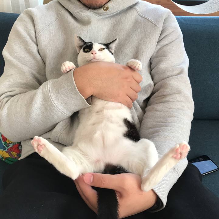 18afd5f8 7c17 4b17 936d 4b66974863ef