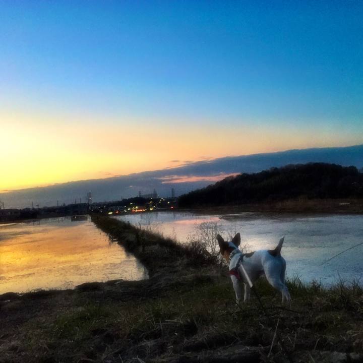 18b07976 121b 4075 b47b bff5834d093f