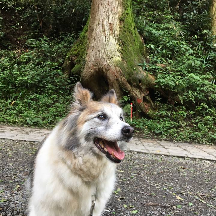 18b0cfcd 3ec3 414f 9278 a134488675f9