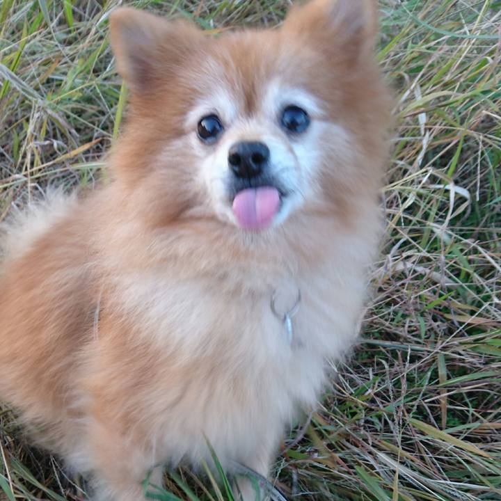 18b109b3 3fbc 4719 af36 3fea21a9bea7