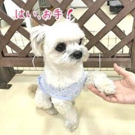 18b11055 8969 4998 bae4 8ae4b296fff6