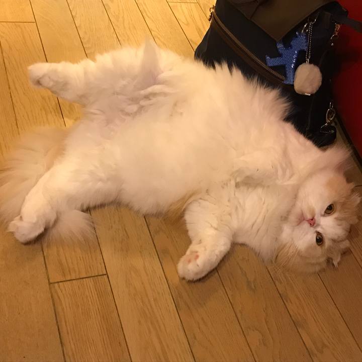 18b2523d de3a 41ff 9bbd 299cda7a5c06