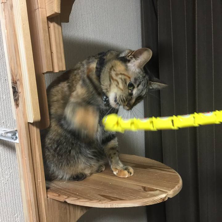 18b2e336 9951 44e4 a905 72726b94fcf7