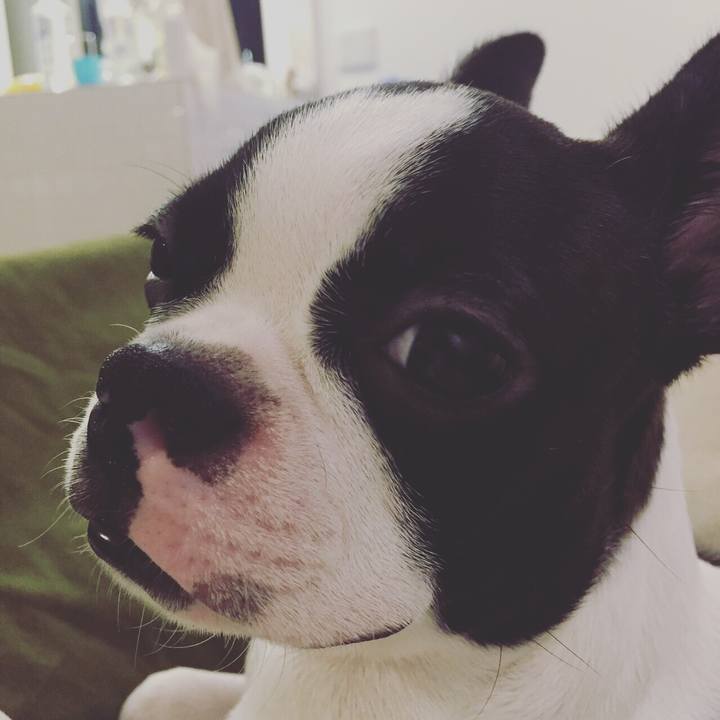 18b38ae9 8a0a 4060 a838 9d1b0aefab58